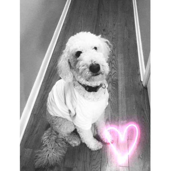 ✨Posh Ambassador Erin!✨ - Picture 3 of 3